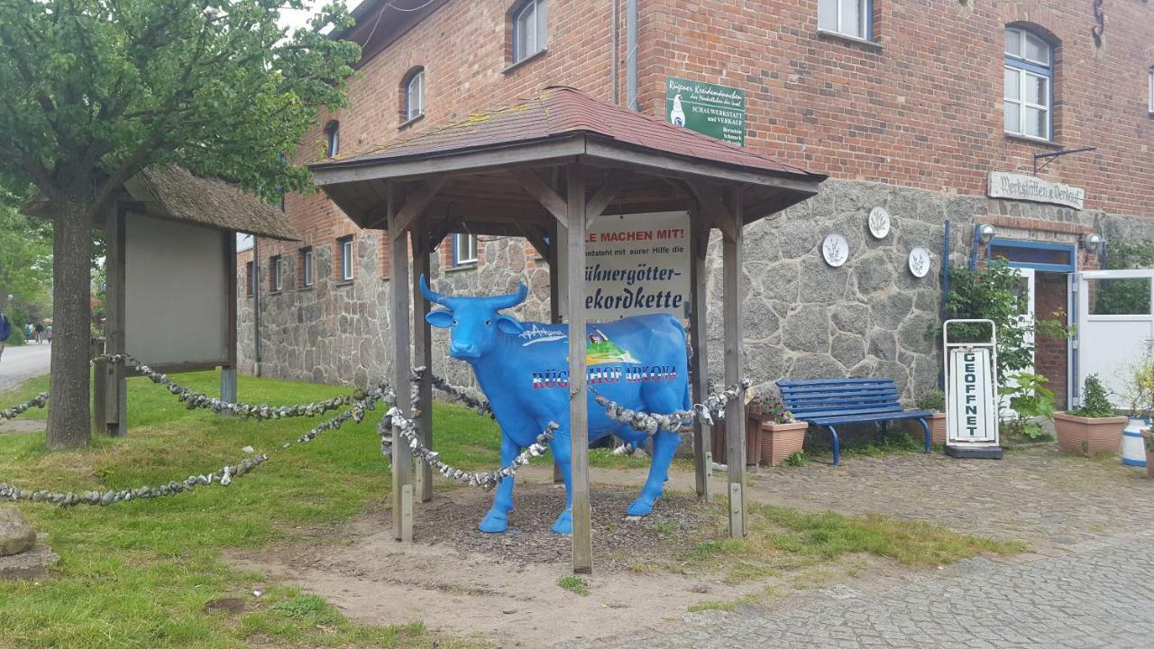 Ferienwohnung Finja In Putgarten, Kap Arkona Ruegen Exteriör bild