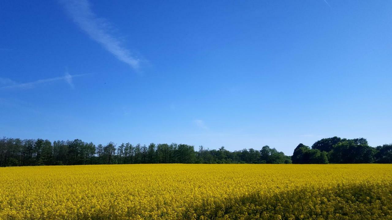 Ferienwohnung Finja In Putgarten, Kap Arkona Ruegen Exteriör bild