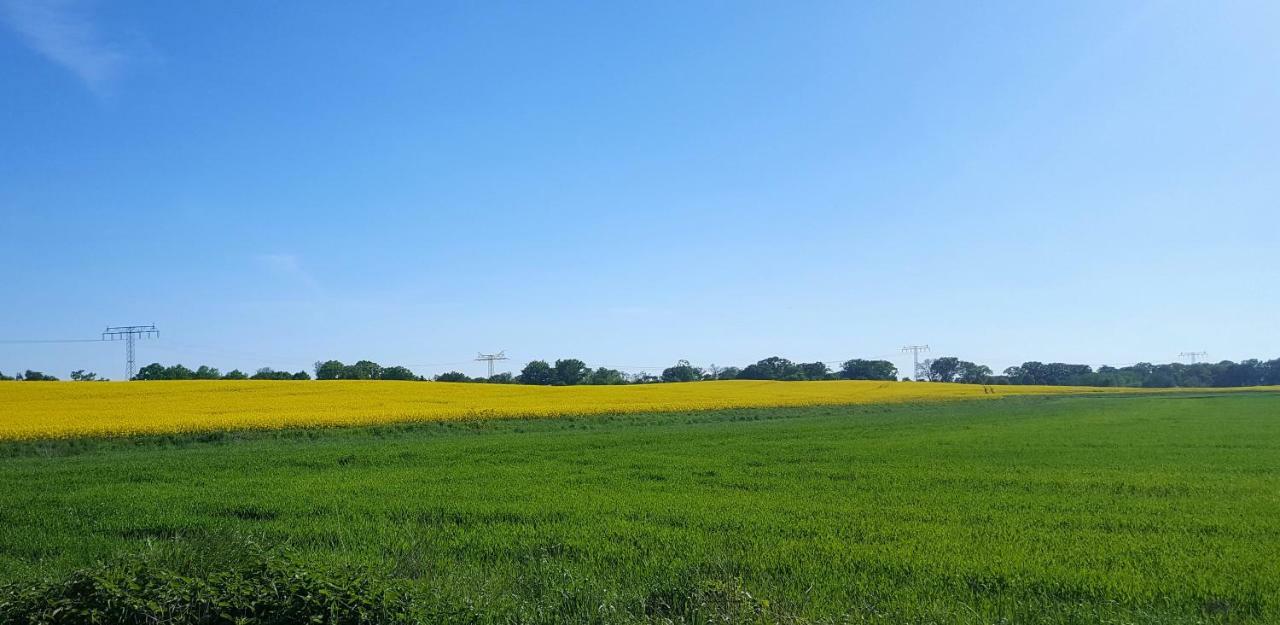 Ferienwohnung Finja In Putgarten, Kap Arkona Ruegen Exteriör bild